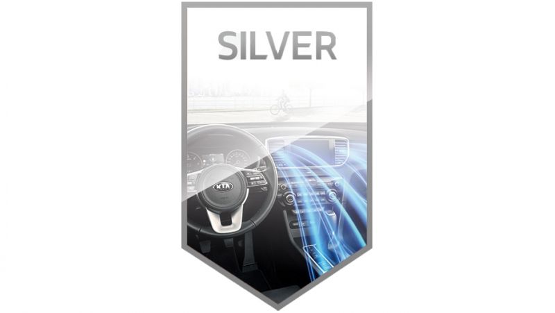 Silver - £35 incl. VAT