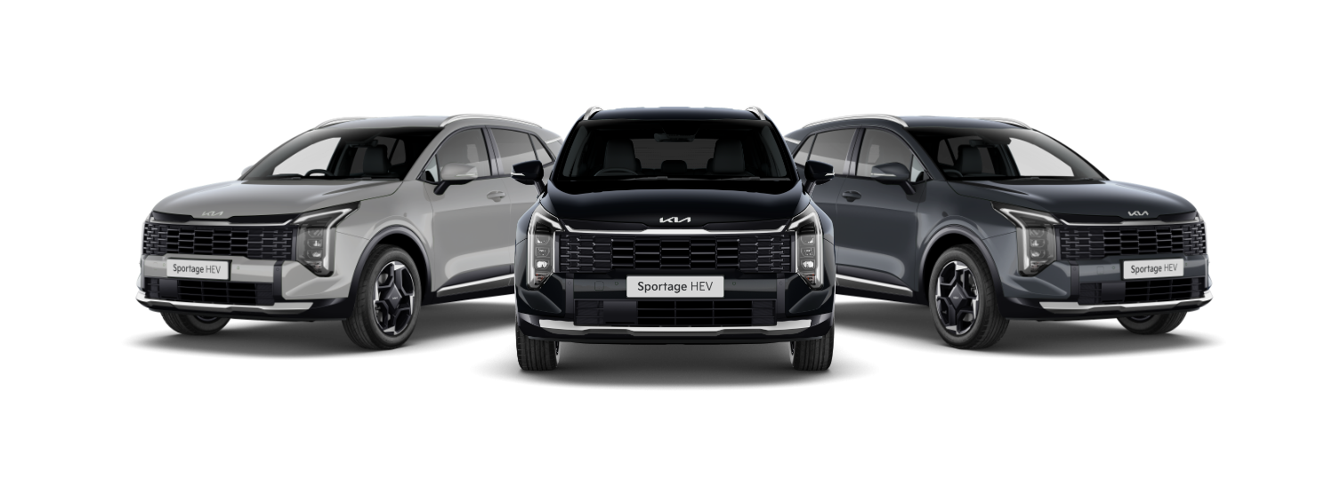 Sportage Storm Line-up